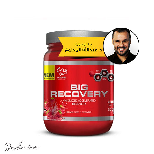 Wawan Nutrition - Big Recovery