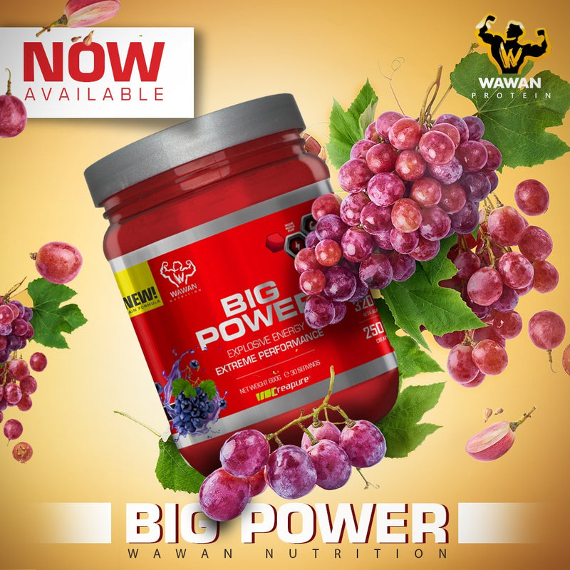 Wawan Nutrition - Big Power